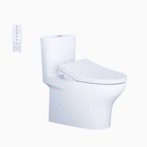Bồn Cầu 1 Khối Kết Hợp Nắp Rửa Thông Minh Caesar C1394F + TAF512H