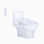 Bồn Cầu 1 Khối Kết Hợp Nắp Rửa Thông Minh Caesar C1375F + TAF512H