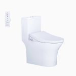 Bồn Cầu 1 Khối Kết Hợp Nắp Rửa Thông Minh Caesar C1391F + TAF512H