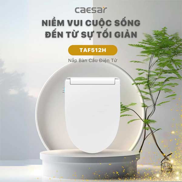 Bồn Cầu 1 Khối Kết Hợp Nắp Rửa Thông Minh Caesar C1391F + TAF512H